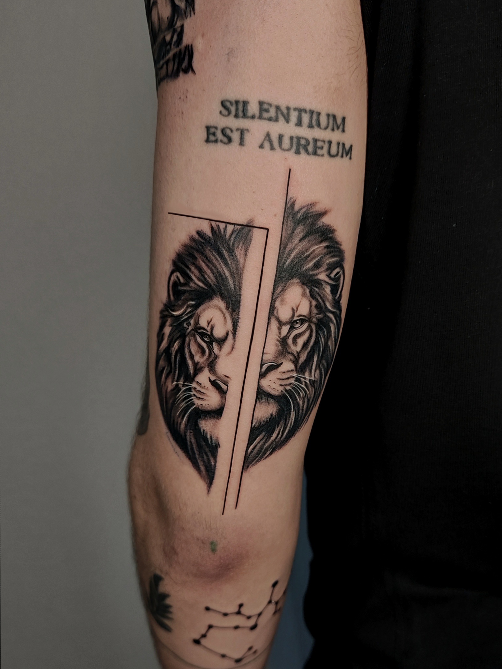 Arte do portfólio
